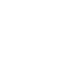 icon production